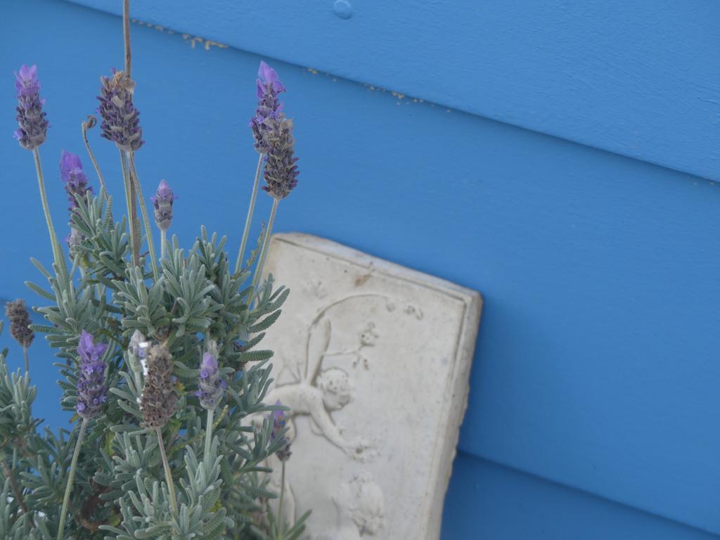 Ki Dragonfly Guesthouse Kingscote Esterno foto